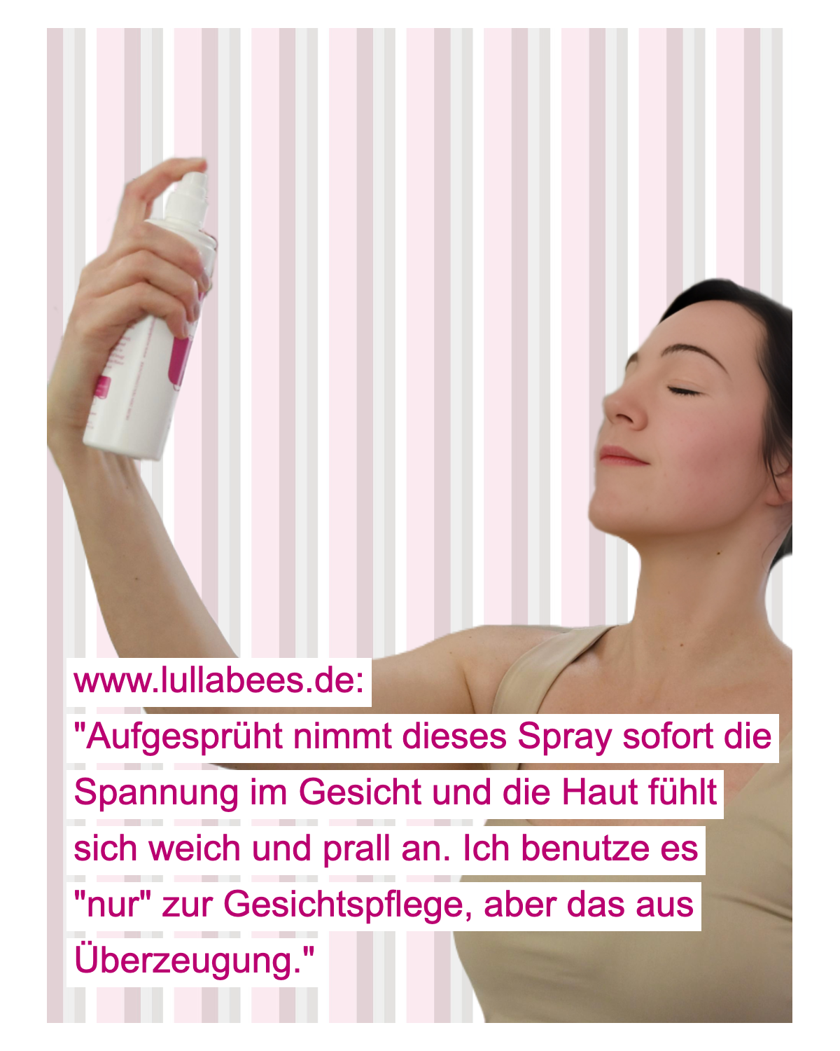 Das Reinigungs-Menü