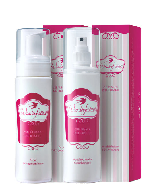 Das Reinigungs-Menü